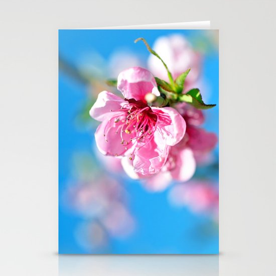 Float... Stationery Cards