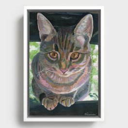 Gray cat Framed Canvas