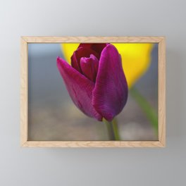 Tulip Framed Mini Art Print