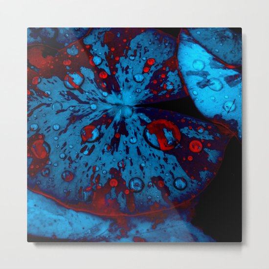 lily pad XII Metal Print