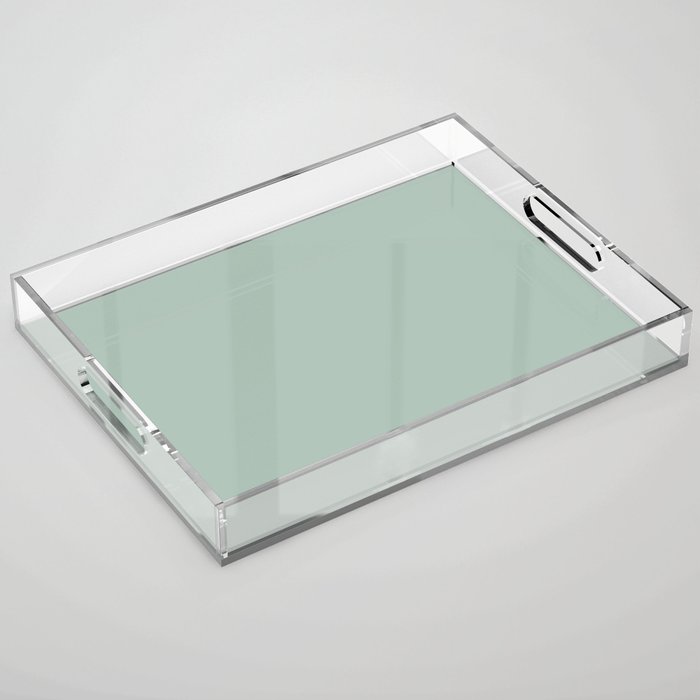 Light Gray-Green Solid Color Pantone Aqua Foam 14-5707 TCX Shades of Green Hues Acrylic Tray