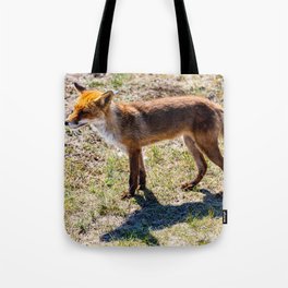 Dutch fox Tote Bag