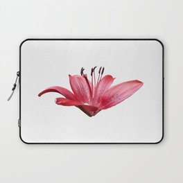  Botanical red tiger Lilly flower blossom Laptop Sleeve