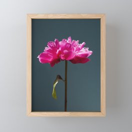 Peony - Botanical - Pink Flower Framed Mini Art Print