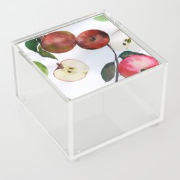 apples N.o 1 Acrylic Box