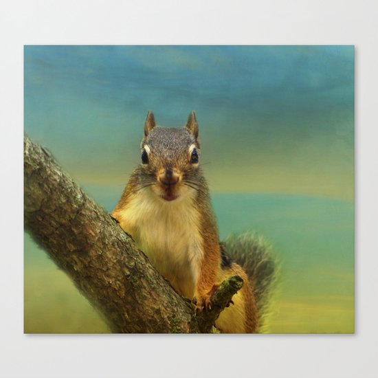 Little Red Squirrel Canvas Print
