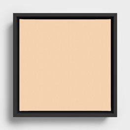 Light Tangelo Framed Canvas