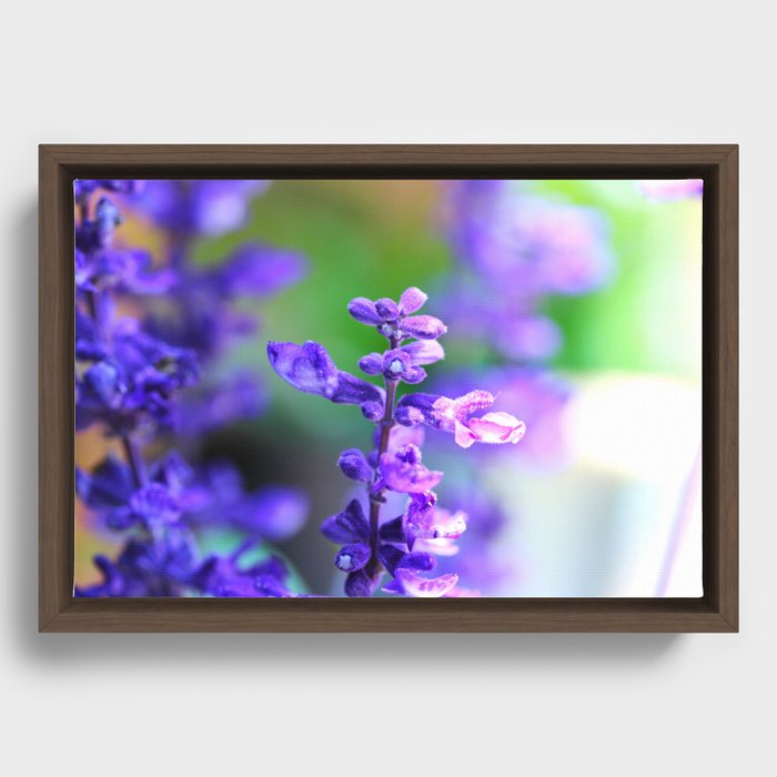 Purple Framed Canvas