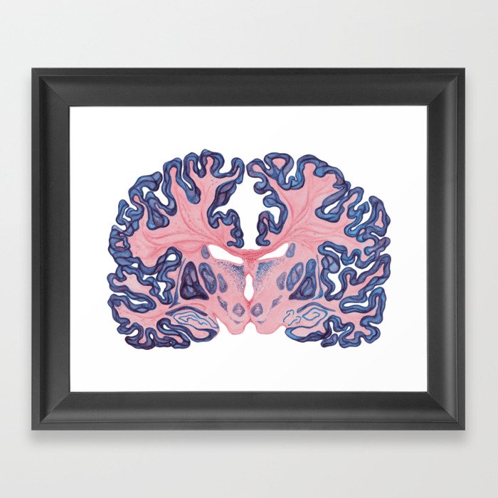 Gyri and Swirls of Human Brain Framed Art Print