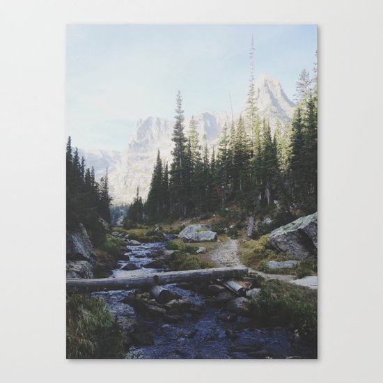 Rocky Mountain Creek Canvas Print
