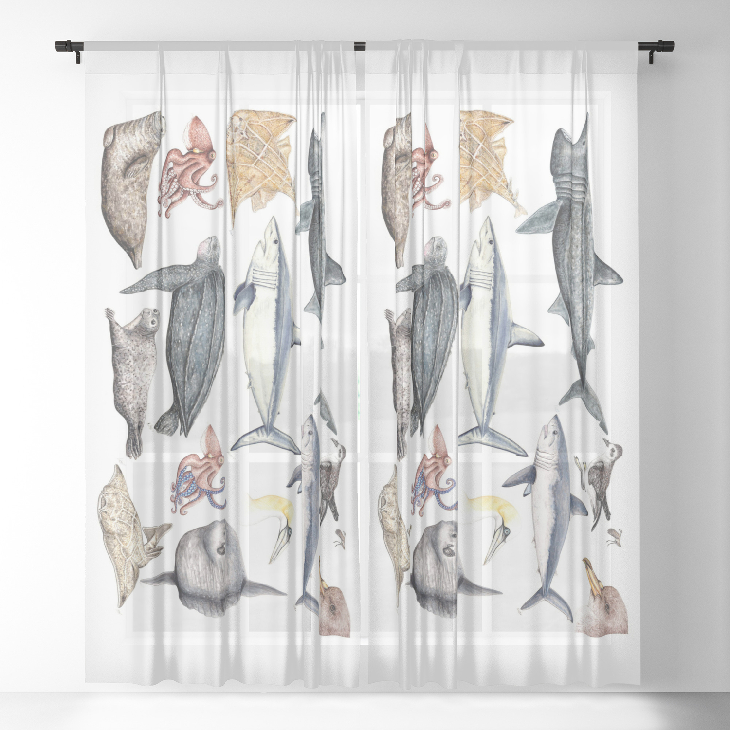 Marine Wildlife Sheer Curtain By Chloeyzoard Society6
