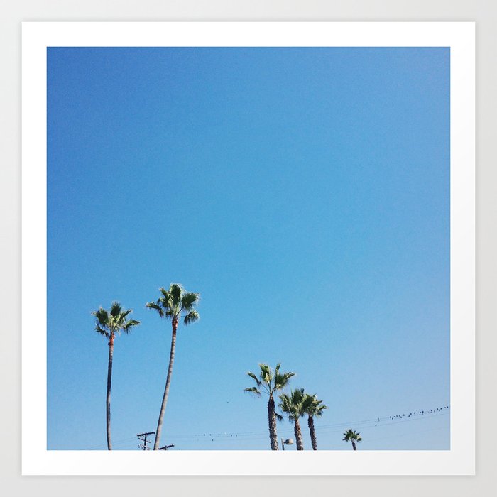 SoCal Palms Art Print