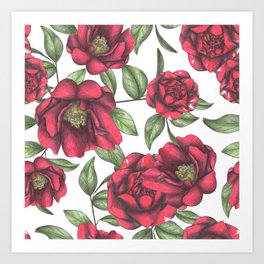 Blooming Camellias Art Print