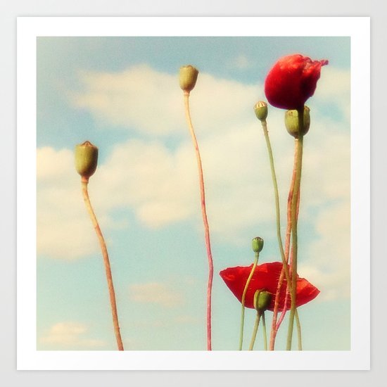 Lost Poppies Art Print