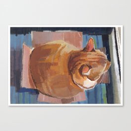 Orange Cat in the Box Canvas Print