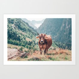 Cow in the mountains | Nature Art Print