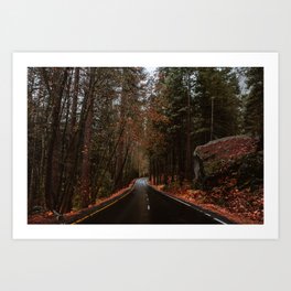 Autumn Forest Road in Yosemite Art Print