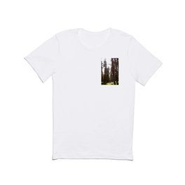 Spring Light in a Scottish Highlands Pine Tree Forest T Shirt