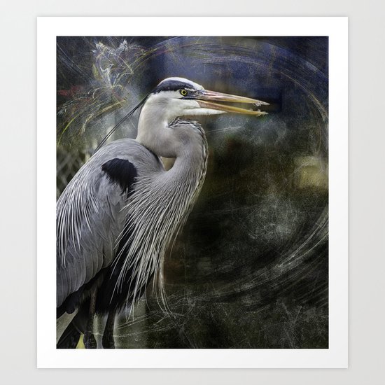 Great Blue Heron Art Print