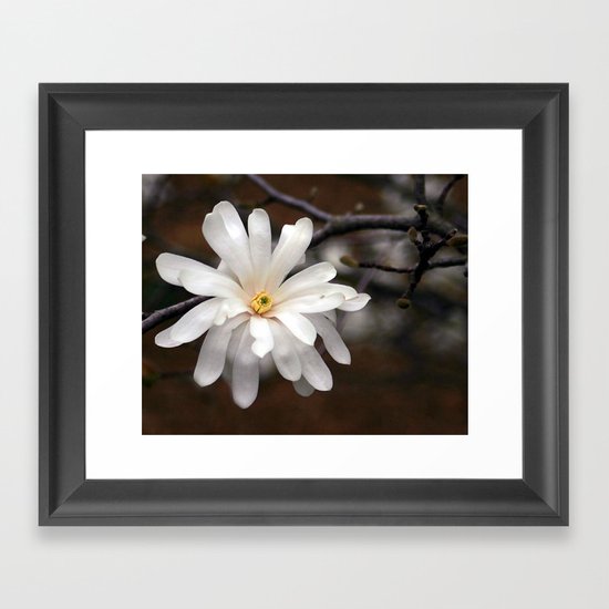 Magnolia I Framed Art Print