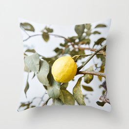 Cute lemon tree in spring | Nature photography art print | Travel photography Spain Throw Pillow