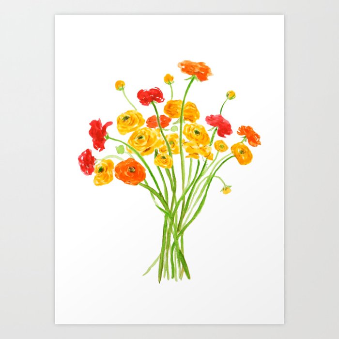 yellow red and orange Ranunculus flower Art Print