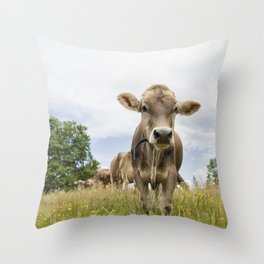 Brown Swiss Heifer Throw Pillow | Brown, Brownswiss, Cow, Animal, Children, Cute 