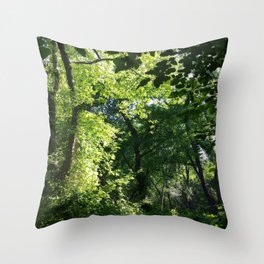 Forest Light and Shade Throw Pillow