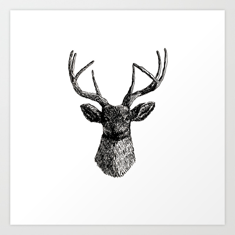 Deer Antlers Art Print By Lancasterin Society6