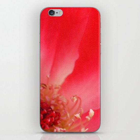 Love iPhone & iPod Skin