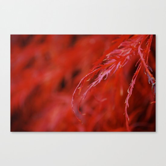 Red Canvas Print