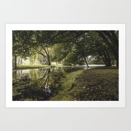 /// Hidden Worlds /// Landscape photograph taken under the lush green trees of a quiet creekside Art Print
