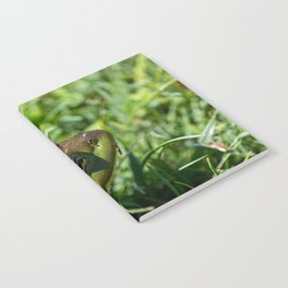 Green Frog closeup Notebook