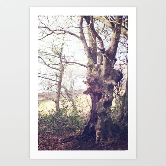 The Hideaway Art Print