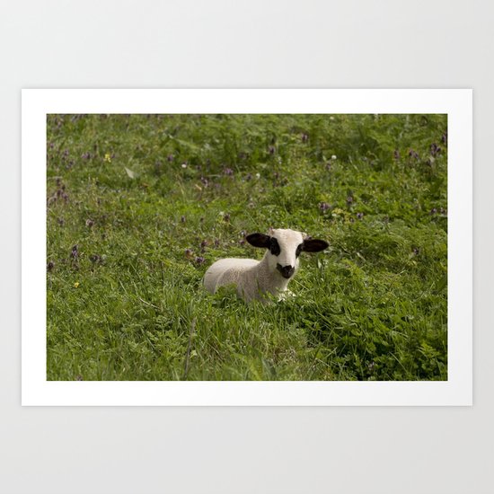 sweet sheep Art Print