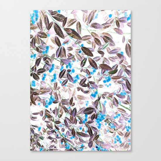 Blue Berries Canvas Print