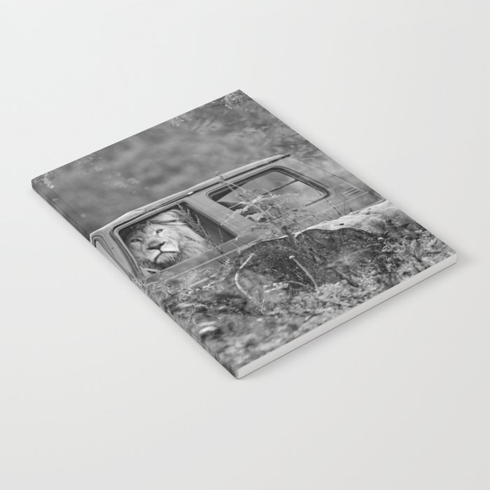 Baby, you can drive my car; lion out for a drive in a Cherokee funny black and white photograph - photography - photographs by Tambako the Jaguar Notebook