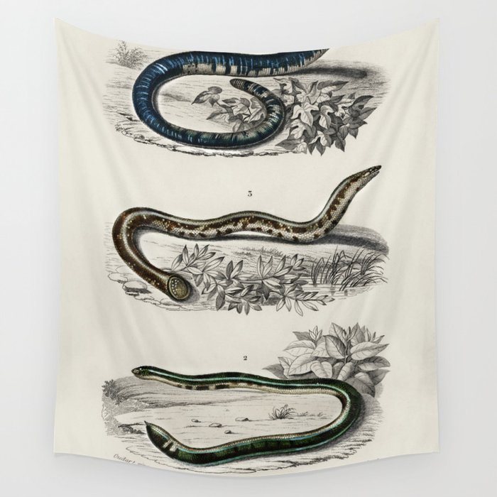 Spotted Worm Lizard, Blind Snakes, & Shield Tail Snakes Wall Tapestry