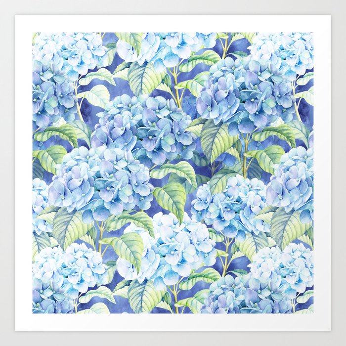 Botanical pink blue watercolor hortensia floral Art Print
