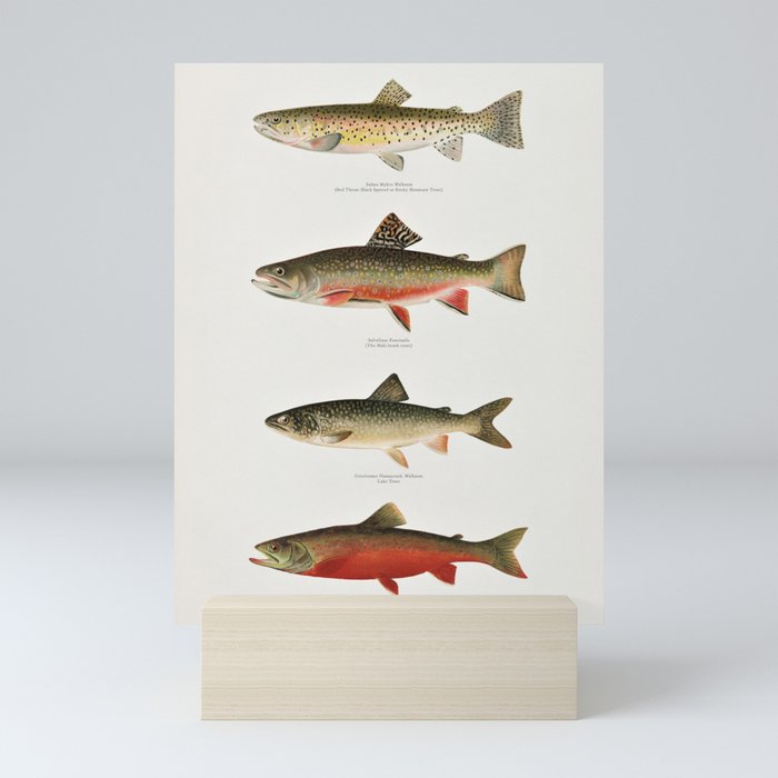 Mini Art Print