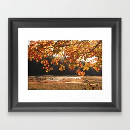 Autumn Sparkle Framed Art Print