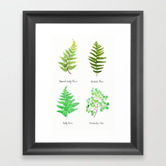 fern collection watercolor Framed Art Print