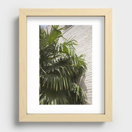 Palms Recessed Framed Print