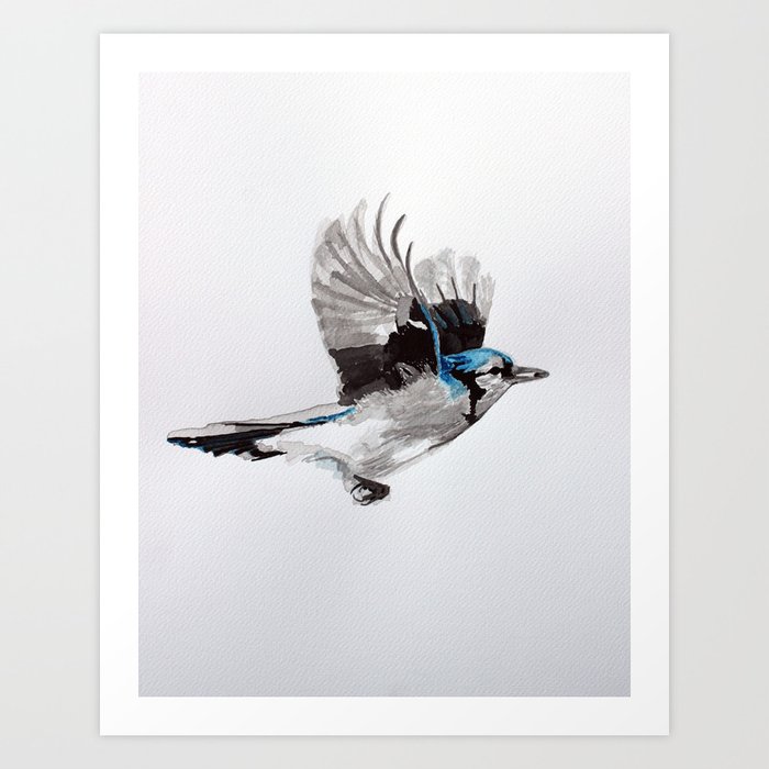 BLACK AND WHITE BLUE JAY Art Print