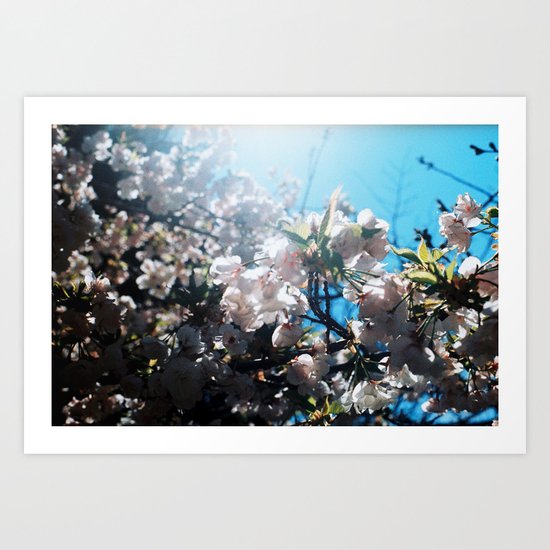summer solstice 9 Art Print