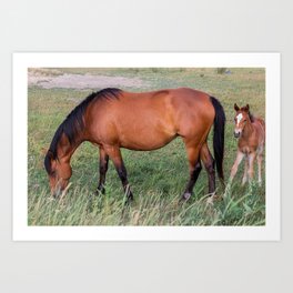 Horses 1 Art Print