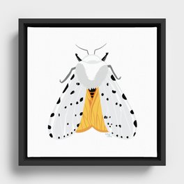 Dal-Moth-Ian Framed Canvas