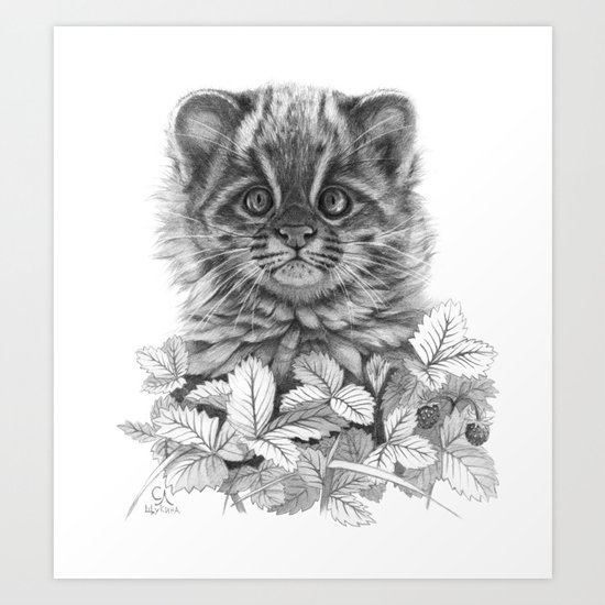 Asian Leopard Cat Cub G096 Art Print