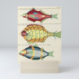 fish Mini Art Print