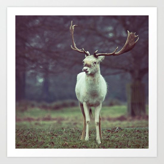 White deer needs your love Art Print